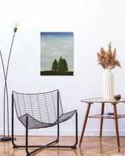 The Chair on the Tree