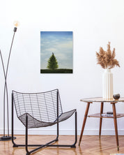 The Chair on the Tree