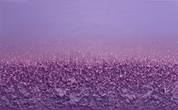 Purple Forest No.9