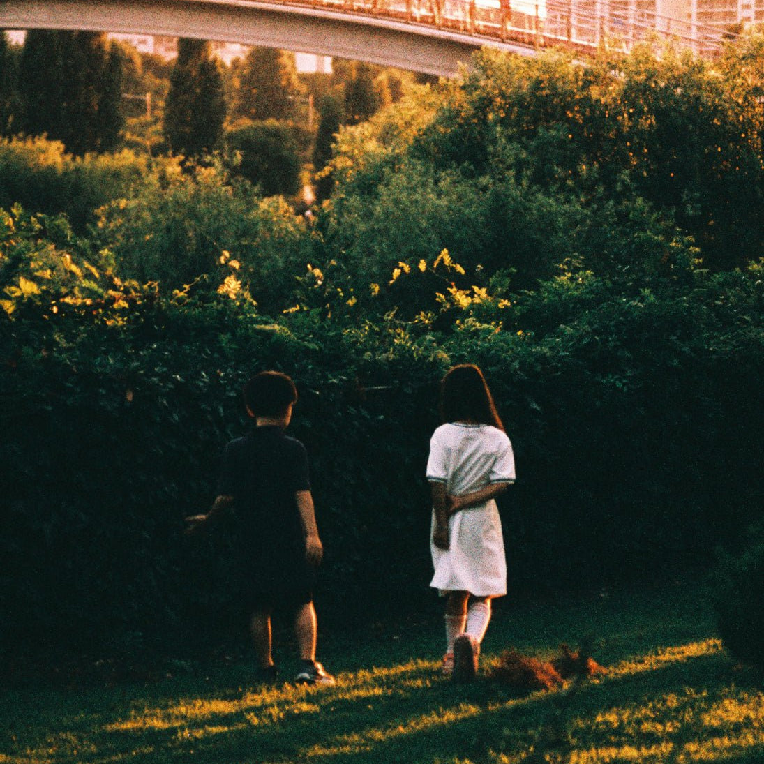 SeongHa LEE - DOKHBI