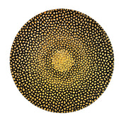 ANIMA variation series