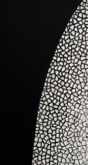 ANIMA variation series