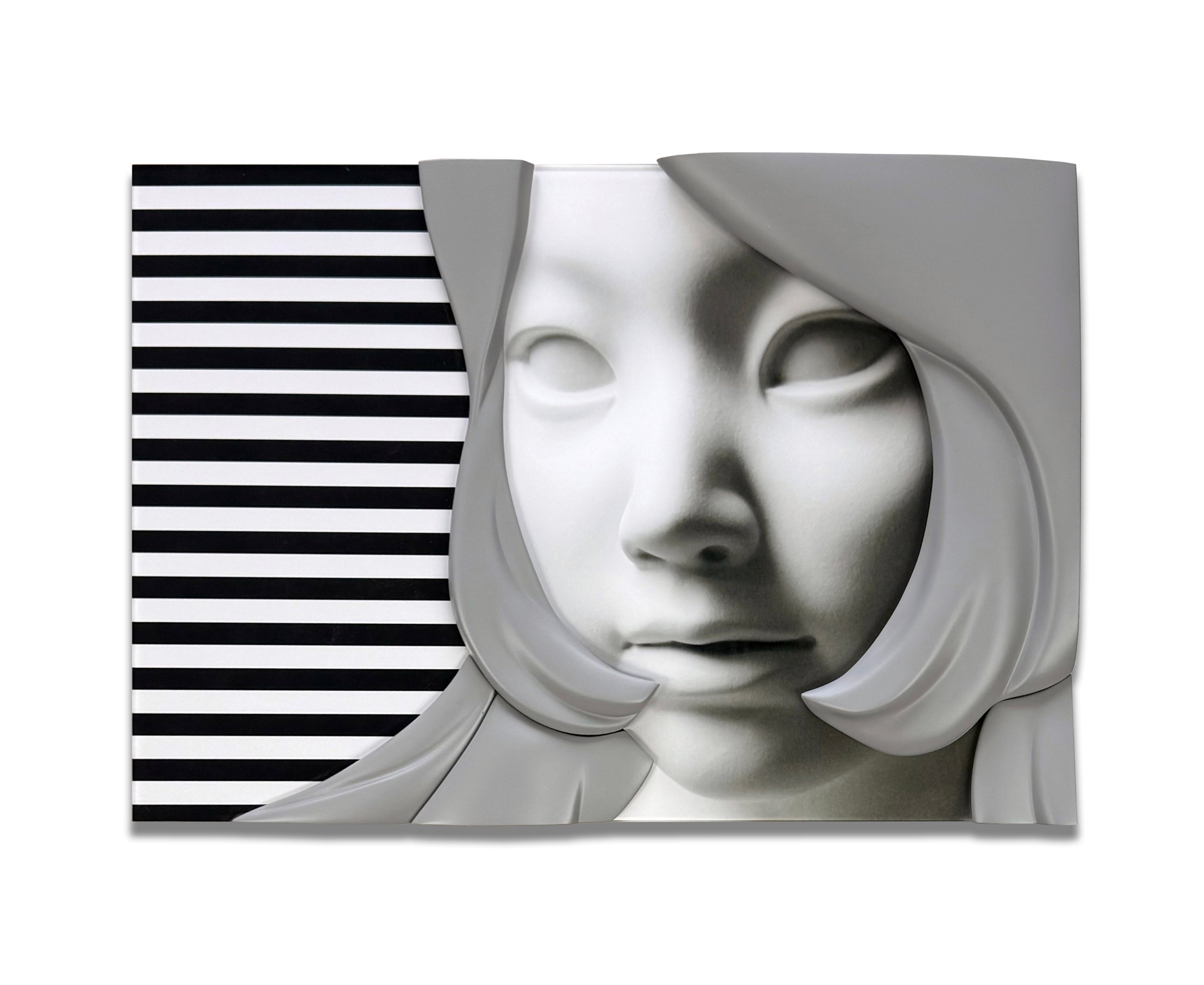 Camouflaged-selves-Crop_gray__36x30cm_C-print_-Diasec_-synthetic-resins_2025_160.jpg