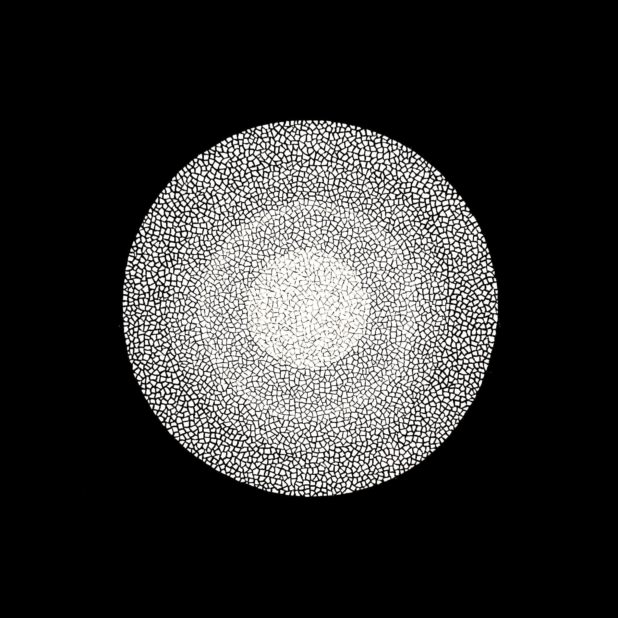 ANIMA Variation Series - DOKHBI ARTWORKSKim sun hyeonMixed Media