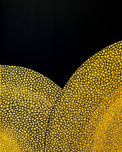 korean art, ANIMA variation series - DOKHBI ARTWORKS Kim sun hyeon Mixed Media