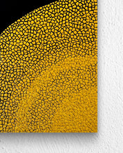 korean art, ANIMA variation series - DOKHBI ARTWORKS Kim sun hyeon Mixed Media ARTWORKS dokkaebi dokebi k - art ANIMA Variation Series surface detail - mixed media on canvas by Kim Sun Hyeon, Korean fine art 2024 DOKHBI
