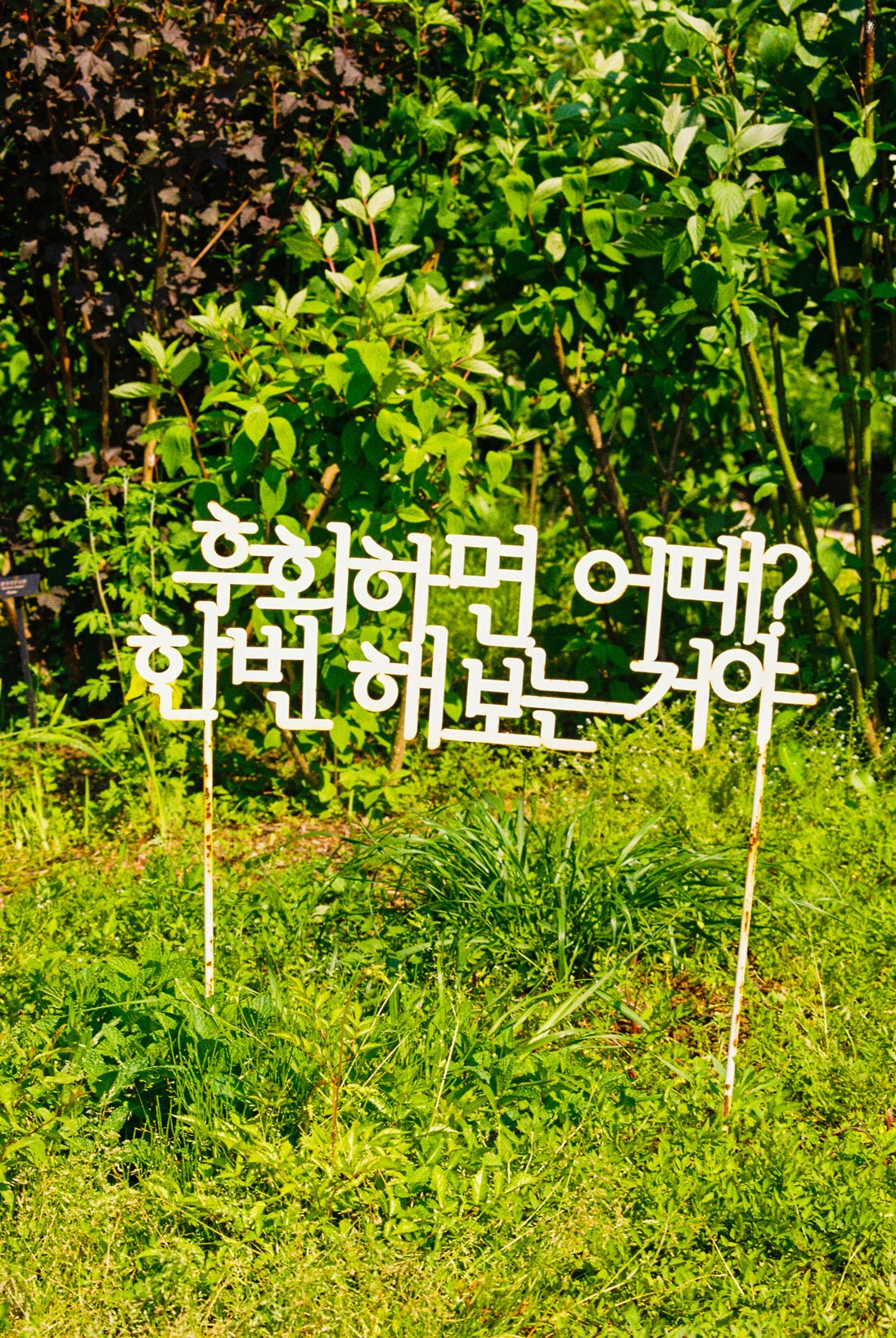 Dare to Remember - Photography 48x72cm by SeongHa LEE, Korean Contemporary Photography 2025