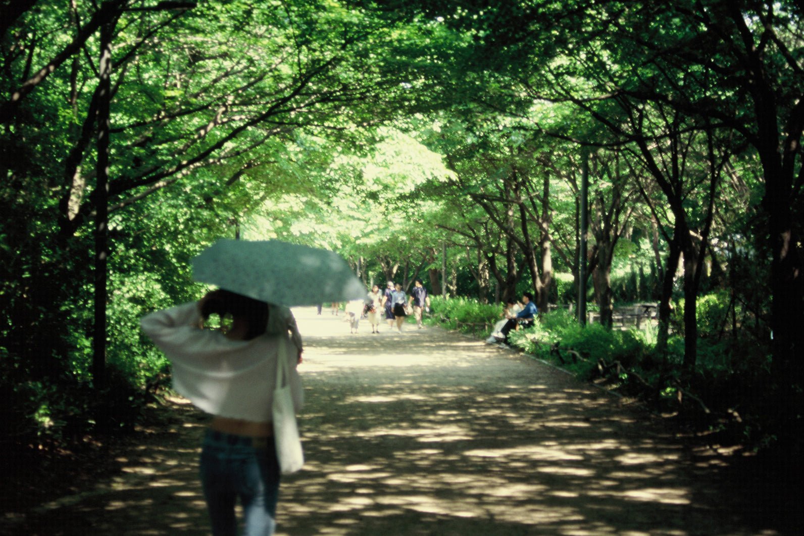 korean art, Just The Way You Are - DOKHBI $1000 ARTWORKS Photography ARTWORKS dokkaebi dokebi k - art Just The Way You Are DOKHBI