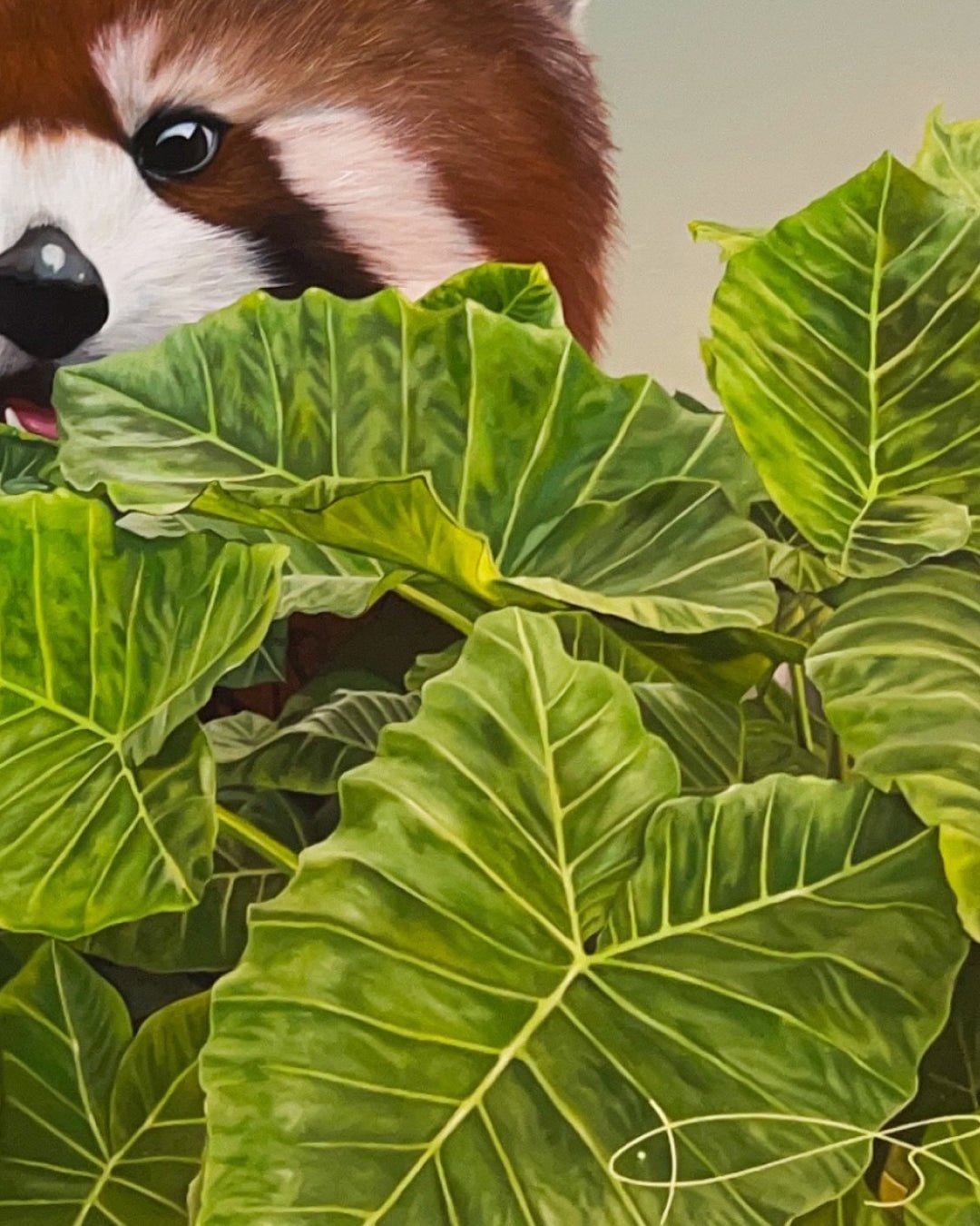 korean art, Symbiosis(pot) - DOKHBI ARTWORKS Nam ji hyung Painting