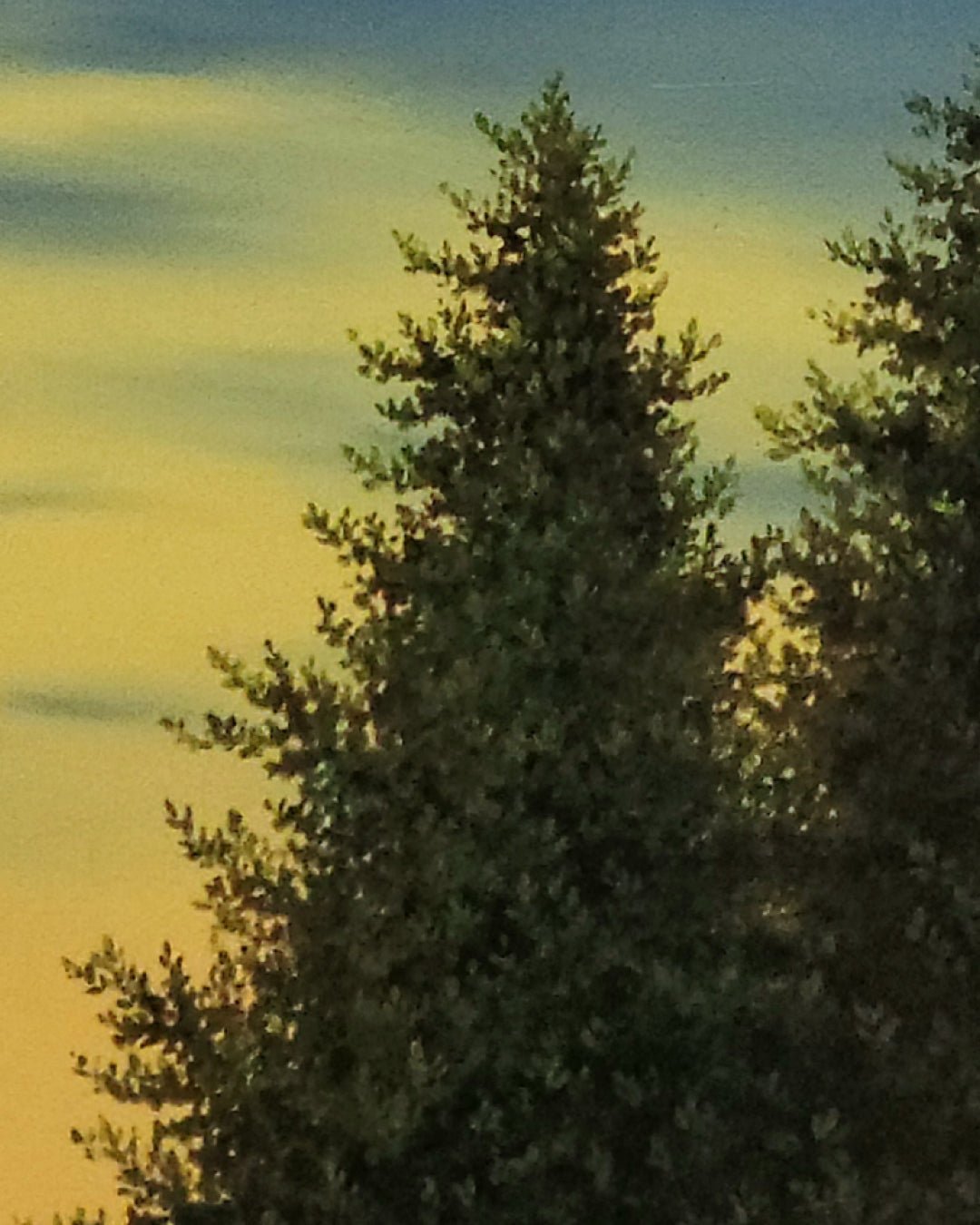 korean art, The Chair on the Tree - DOKHBI ARTWORKS Min Yul Painting