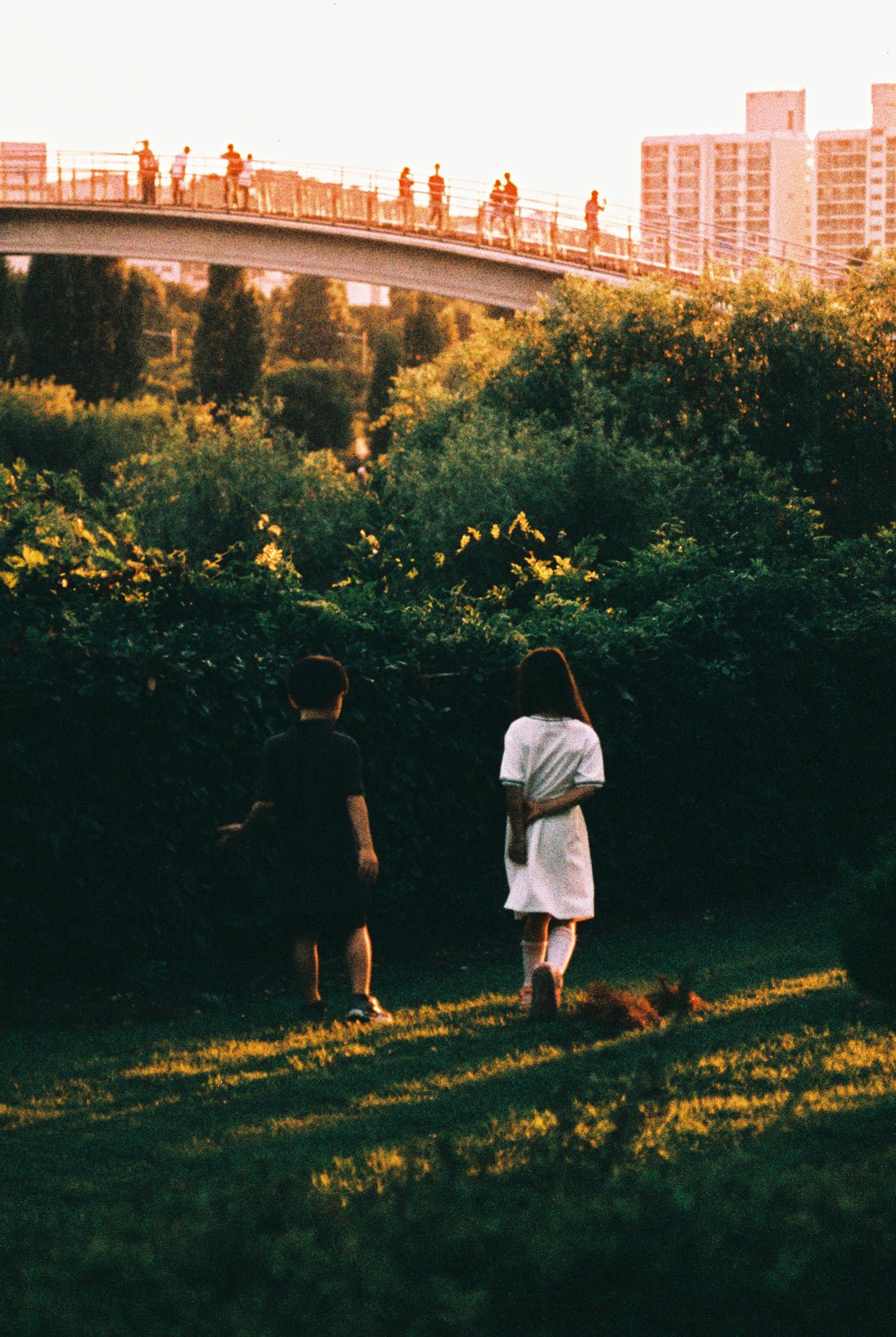 Together - Photography 80x120cm by SeongHa LEE, Korean Contemporary Photography 2024