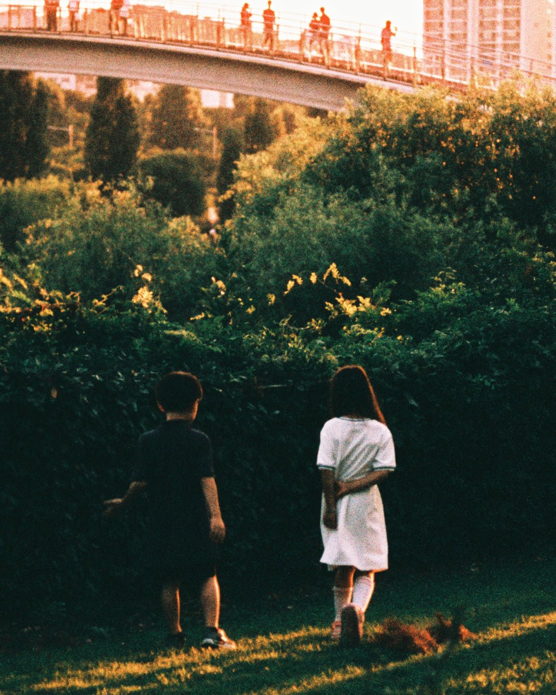 Together close-up detail, matte canvas print by Korean photographer SeongHa LEE