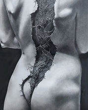 korean art, Wounds in Bloom - DOKHBI ARTWORKS Hyun Woo Lee PaintingARTWORKS